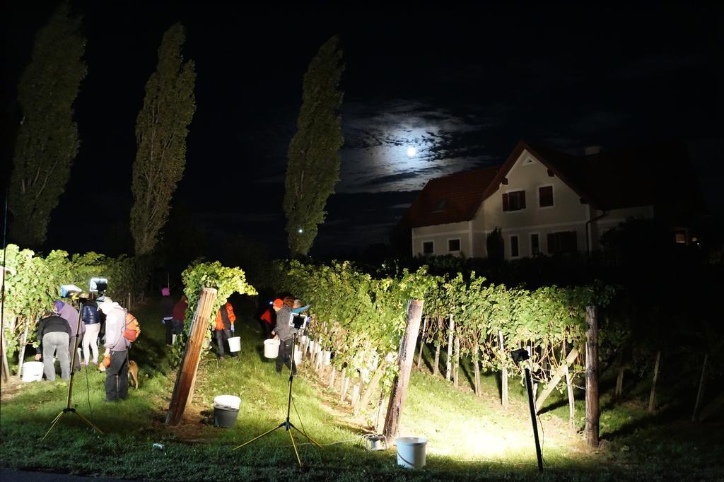 Appartamento Winzerhof Familie Kloeckl Klöch Esterno foto