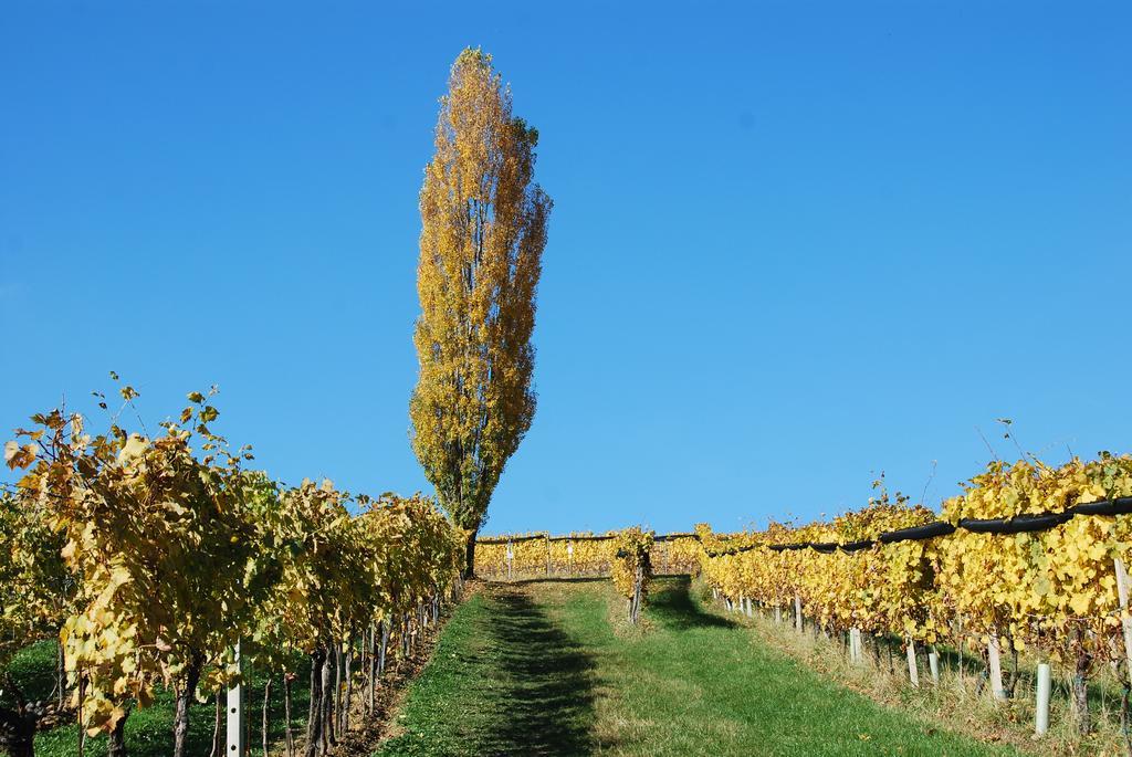 Appartamento Winzerhof Familie Kloeckl Klöch Esterno foto