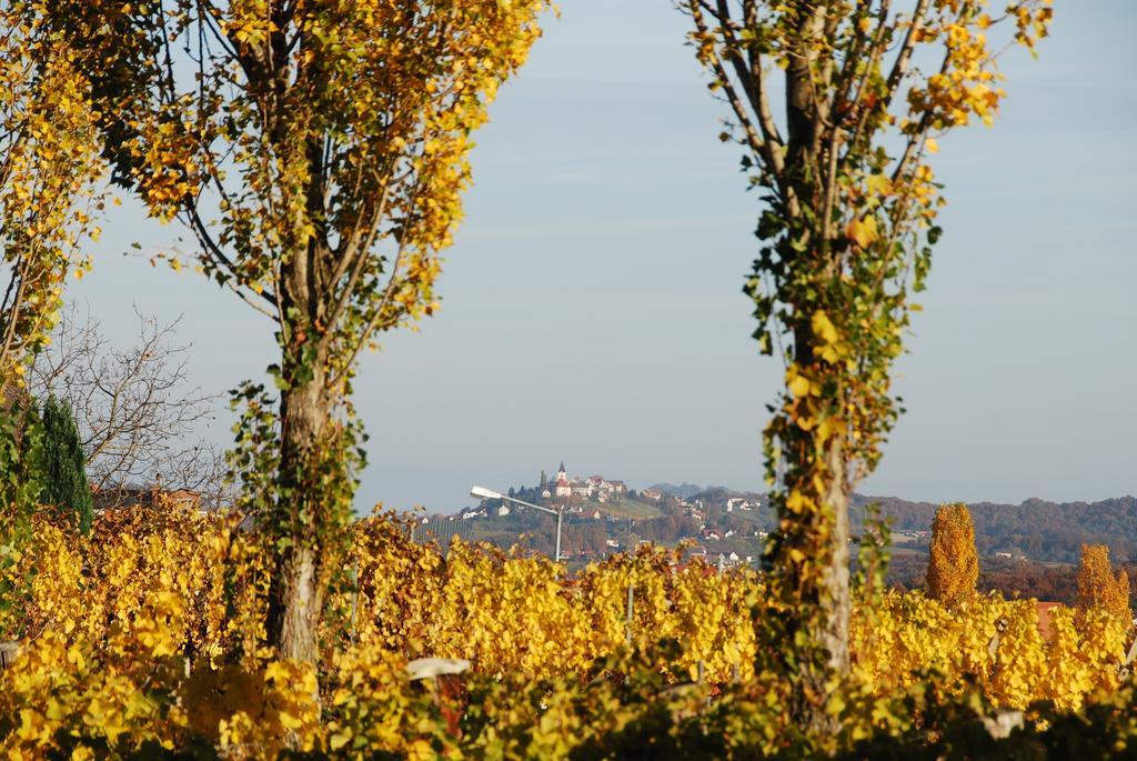 Appartamento Winzerhof Familie Kloeckl Klöch Esterno foto
