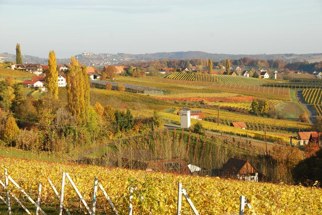 Appartamento Winzerhof Familie Kloeckl Klöch Esterno foto