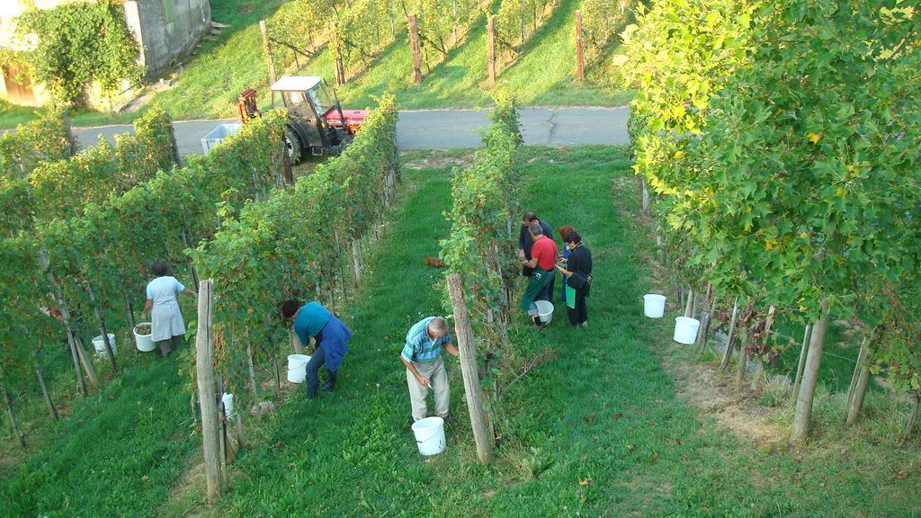 Appartamento Winzerhof Familie Kloeckl Klöch Esterno foto
