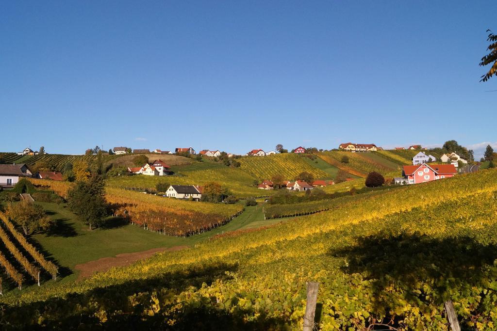 Appartamento Winzerhof Familie Kloeckl Klöch Esterno foto