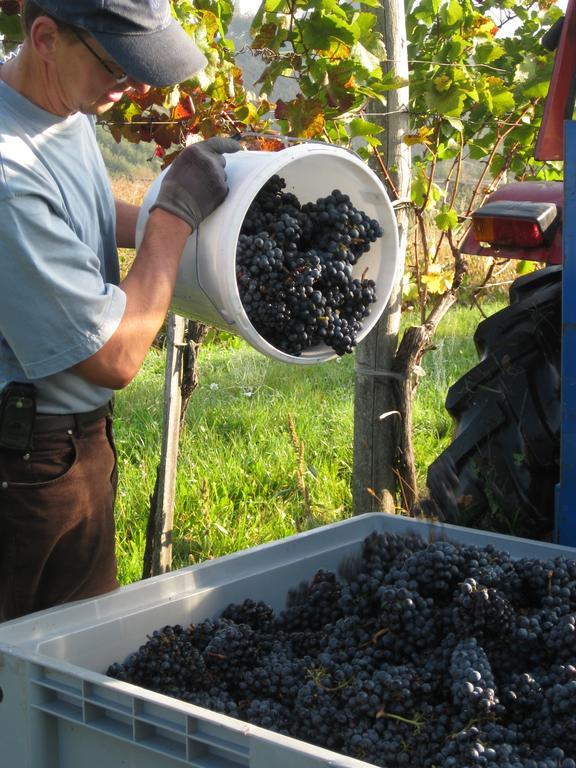 Appartamento Winzerhof Familie Kloeckl Klöch Esterno foto