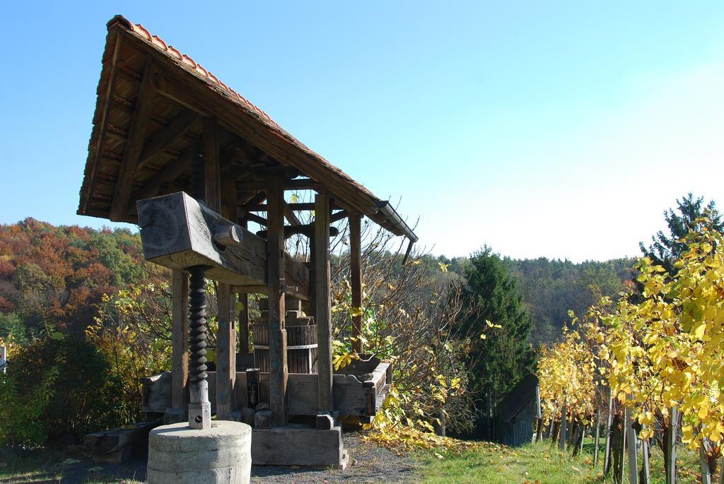 Appartamento Winzerhof Familie Kloeckl Klöch Esterno foto
