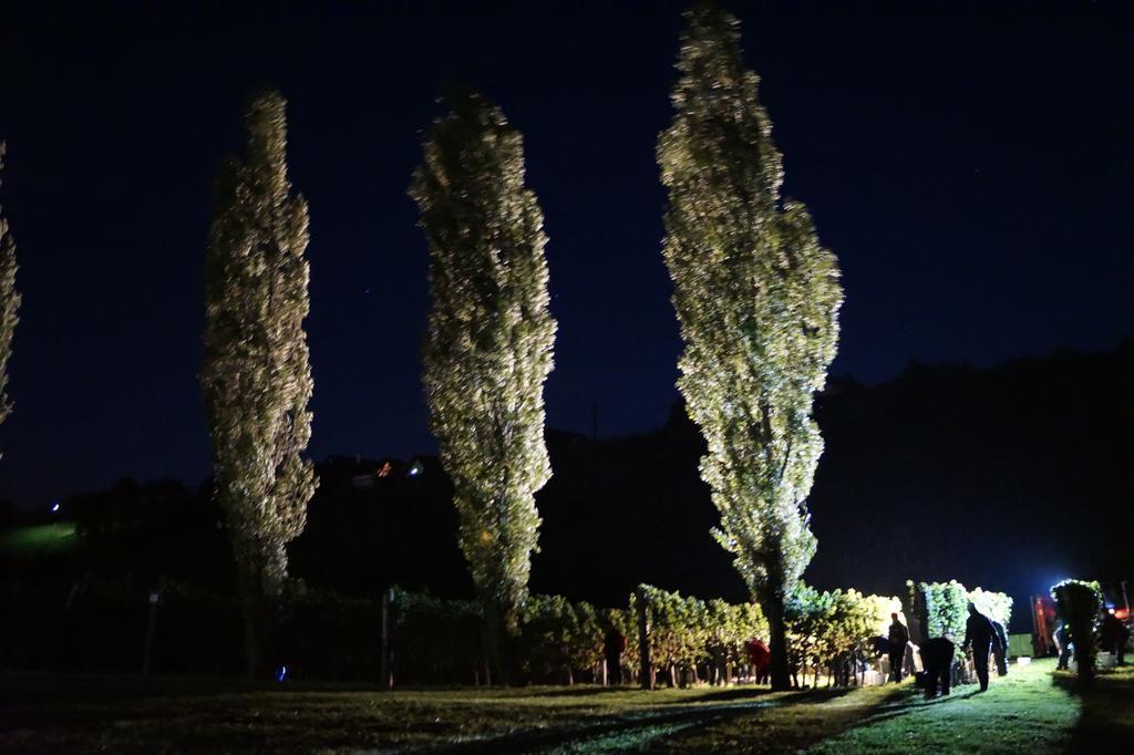 Appartamento Winzerhof Familie Kloeckl Klöch Esterno foto