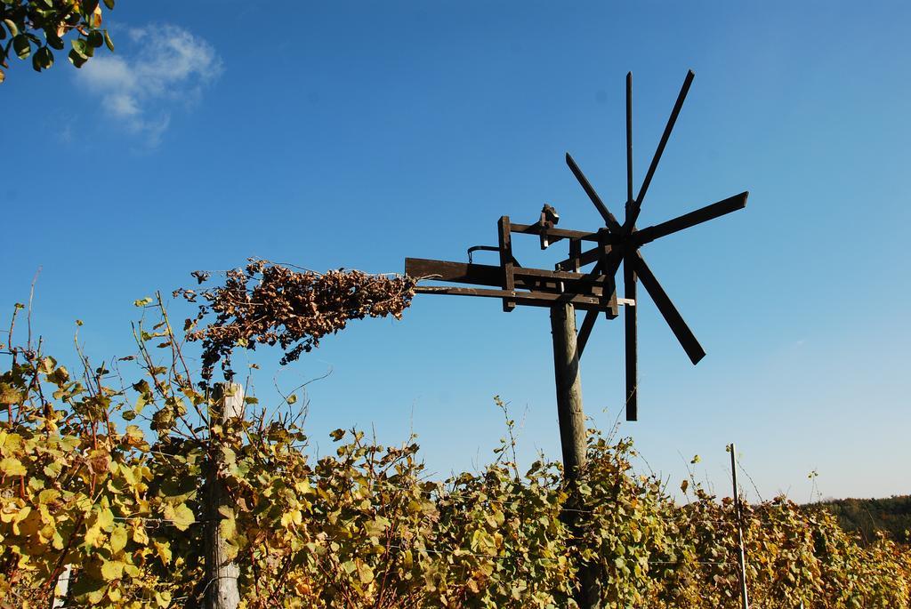 Appartamento Winzerhof Familie Kloeckl Klöch Esterno foto